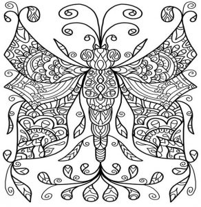 Malvorlagen Erwachsene Schmetterling 11